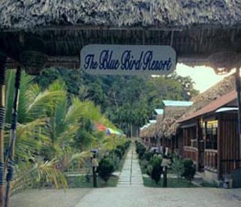 BLUE BIRD RESORT