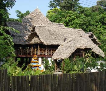 WILD ORCHID BEACH RESORT