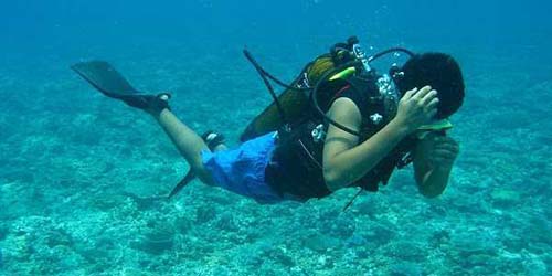 Scuba Diving
